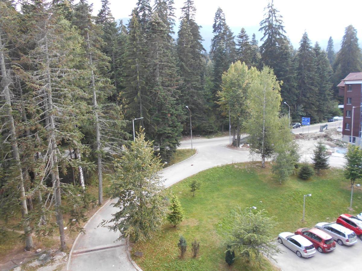Studio D-55 in Borovets Gardens hotel Buitenkant foto